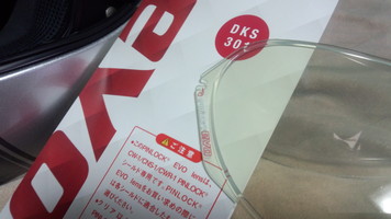 CWR-1 PINLOCK EVO lens