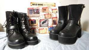 WILD WING