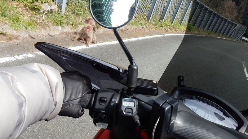 マウスを動かしてください
