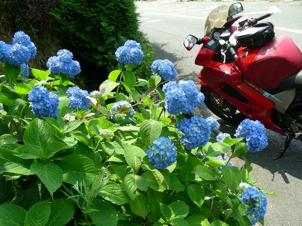 image046