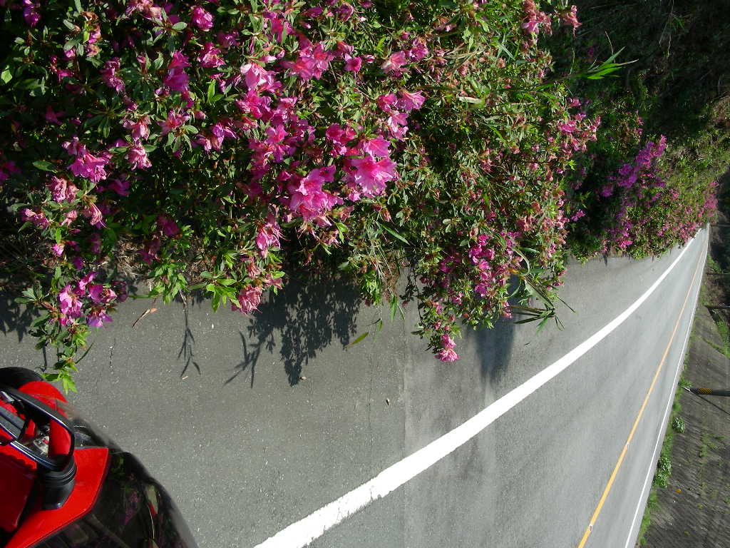 image008