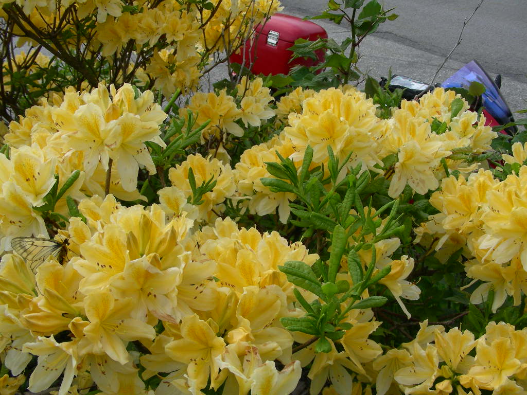 image034