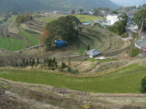 image 1201