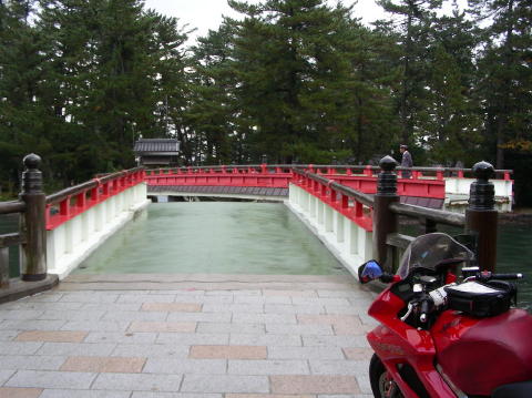 image 324