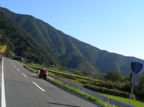image 906