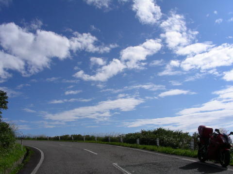 DSCN1902