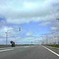 DSC00398