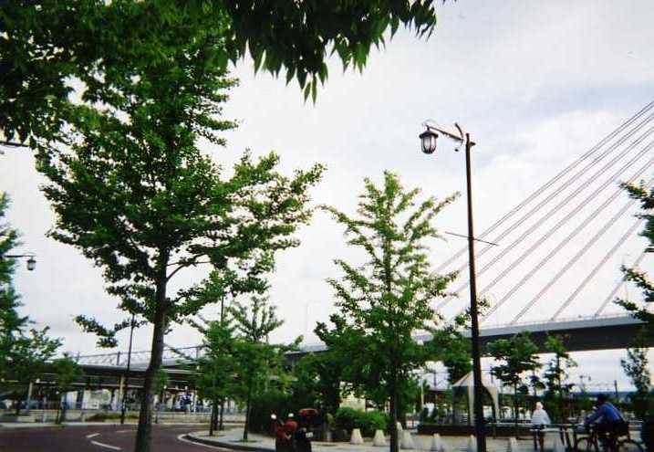 img026