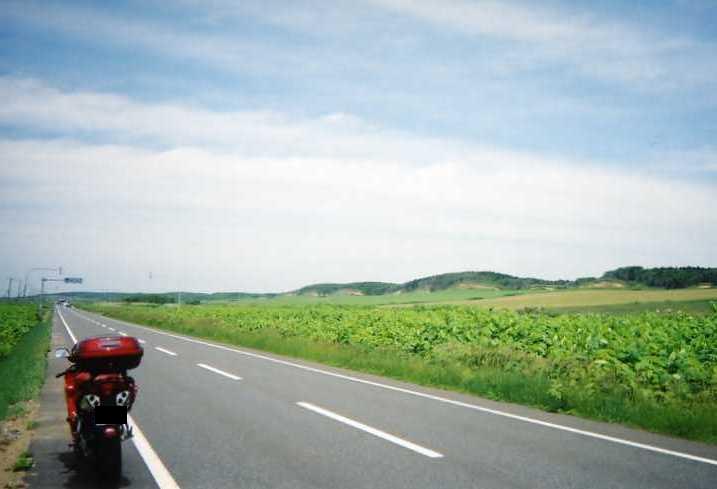img049