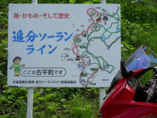 ʬ饤