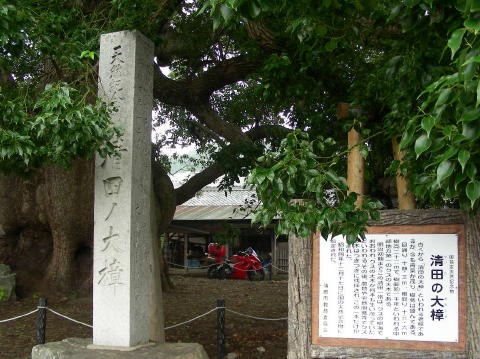 DSCN0988