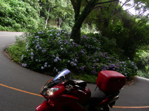 DSCN1015