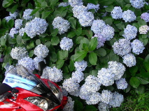 DSCN1026