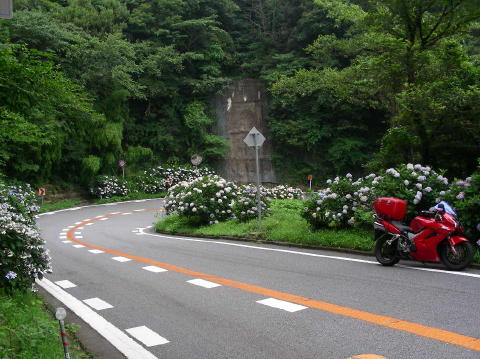 DSCN1035