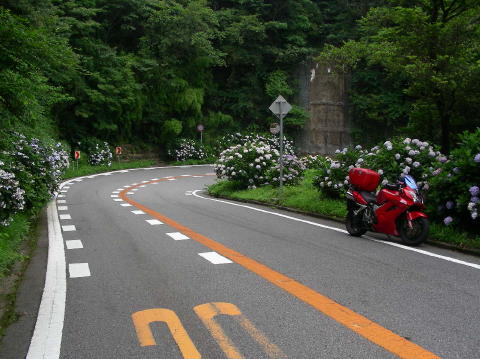 DSCN1037