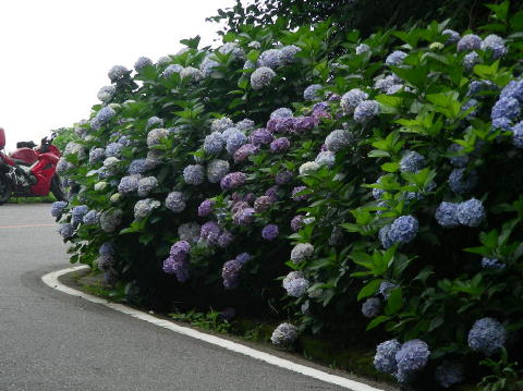 DSCN1040