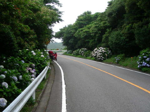 DSCN1043
