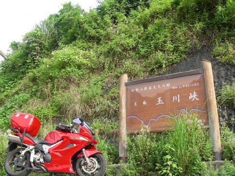 DSCN1118