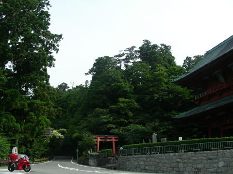 DSCN1123