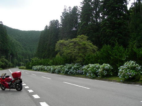 DSCN1157