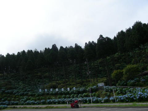 DSCN1196