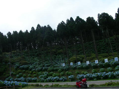 DSCN1209