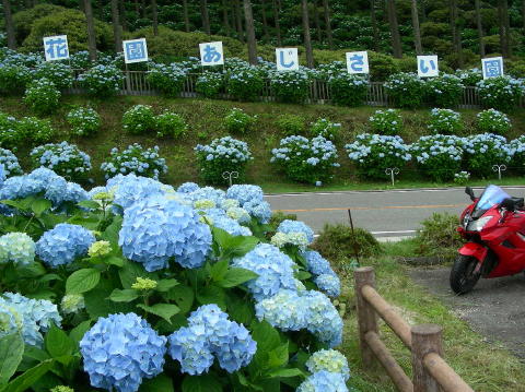 DSCN1225