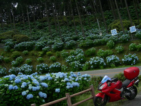 DSCN1238