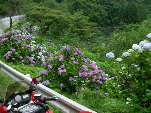 DSCN1287