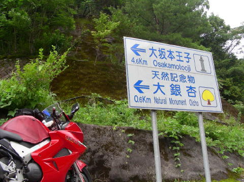 DSCN1344