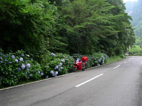 DSCN1369