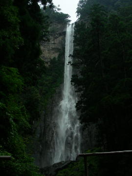 DSCN1401