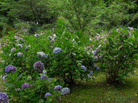 DSCN1437