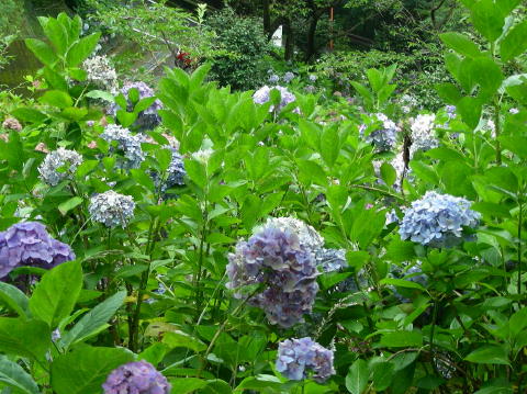 DSCN1440