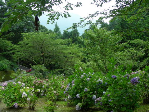 DSCN1441