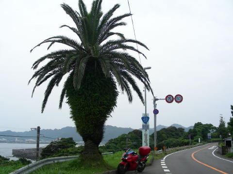DSCN1449