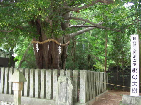 DSCN1469