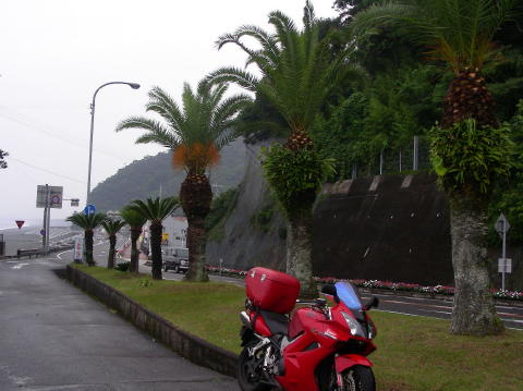 DSCN1488