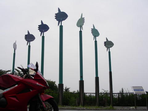 DSCN1499