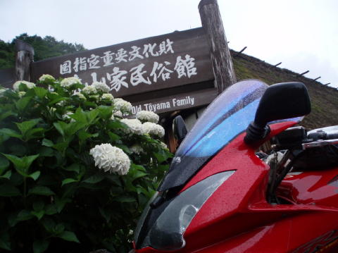 P7100009