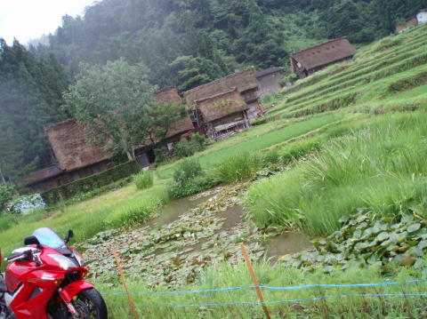 P7100019