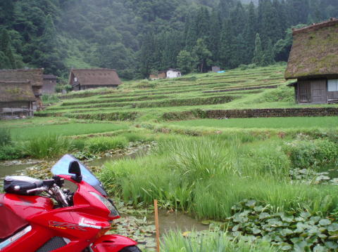 P7100020