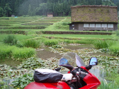 P7100026