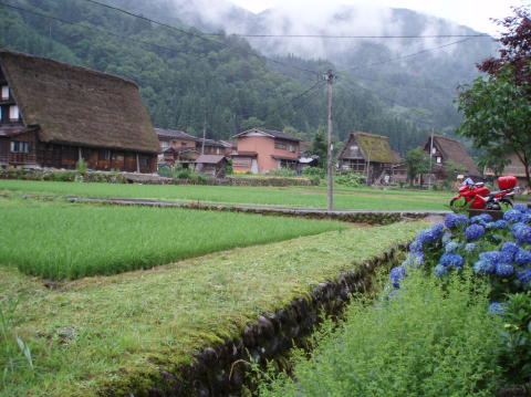 P7100045