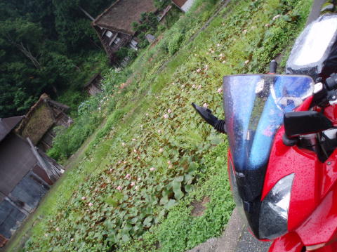 P7100050