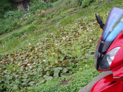 P7100052