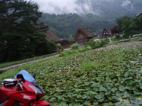 P7100062