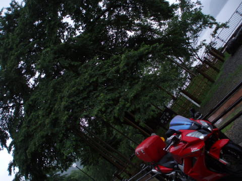 P7100101