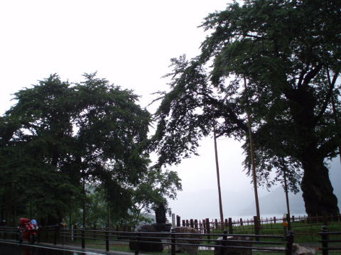 P7100104