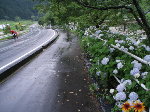P7100120